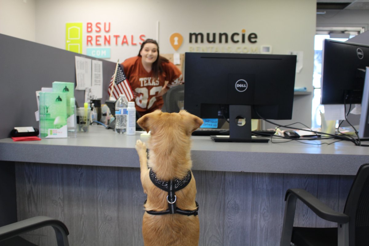 BSURentals's tweet photo. Office update: Our doors are open! Feel free to stop into our leasing office in The Village to set up a tour or ask questions about any of our available properties. MASKS ARE REQUIRED! We care about keeping you &amp; our staff safe this season. When you walk in wait to be helped. https://t.co/CBkJ5rP7vb