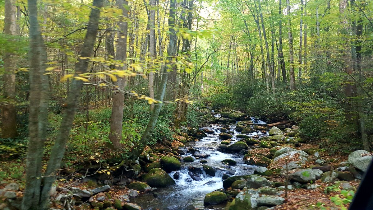 Great Smoky Mountains