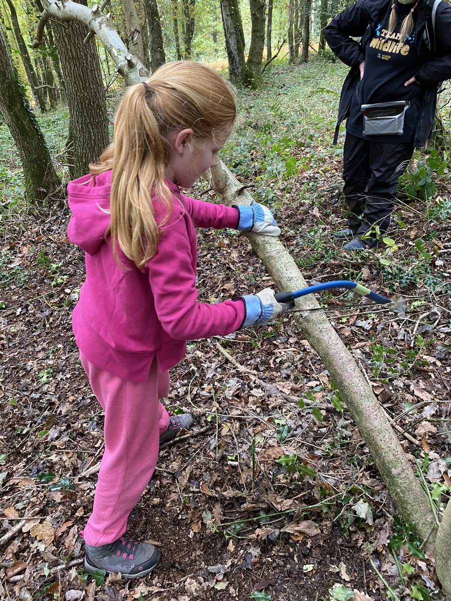 ruskinmama's tweet photo. @ShropsWildlife what a fabulous day at Clunton Coppice! Thank you for a wonderful start to our John Muir Conserver Award. @prestfelde #pinemartin #lopper #hedgehogs #holly https://t.co/iLCTCi2b8z