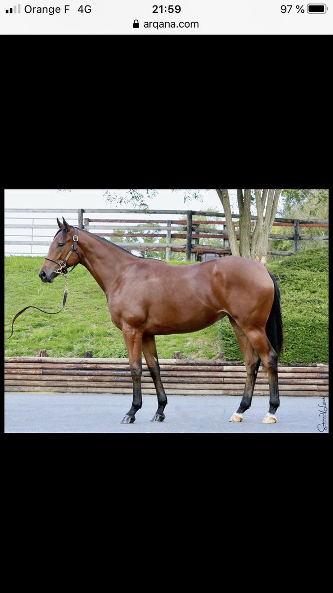 Lot 48 <a href="/HarasOmbreville/">HarasOmbreville</a> magnifique pouliche issue de la 1ère production de De Treville <a href="/HarasduMezeray/">Haras du Mézeray</a> réalise 90K€ <a href="/InfoArqana/">ARQANA</a> octobre soit près de 30x prix de saillie. Félicitations à l’entourage