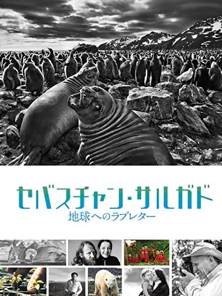 セバスチャン・サルガド 地球へのラブレター

サルガドの素晴らしい写真が映像によってよりわかりやすく説明されています。
食事中はあまりみないように。

観どころ
・光と影の写真
・人の恐怖を知る
・森の再生、人だからこそ、できること

記事です。
movieblog.fun/thesaltoftheea…