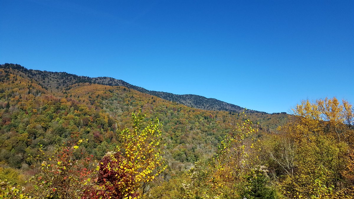 More Blue Ridge Parkway pics. This is one of the most beautiful places I've ever seen. Though watch out for the fog...