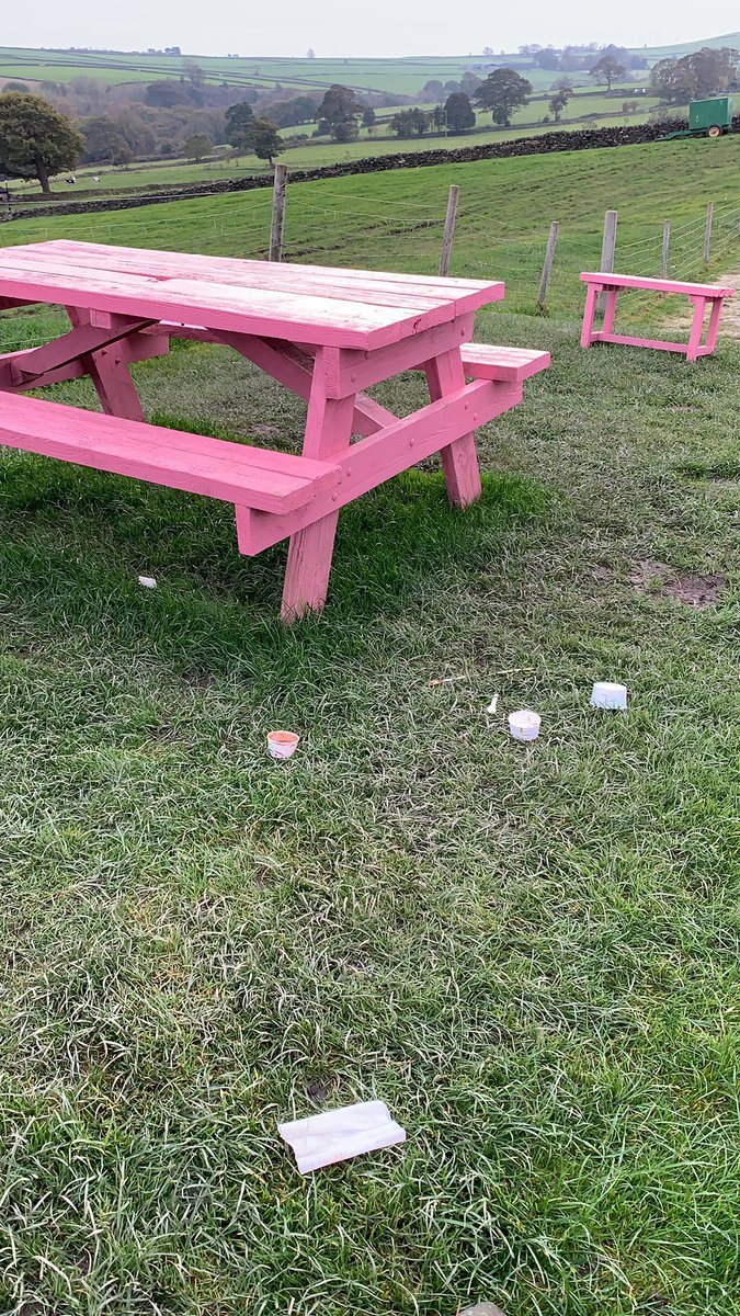 OurCowMolly's tweet photo. To get to this bench folk visiting our home for ice cream walk past 4 bins 🤷🏼‍♂️ https://t.co/gPVNWcgfbY