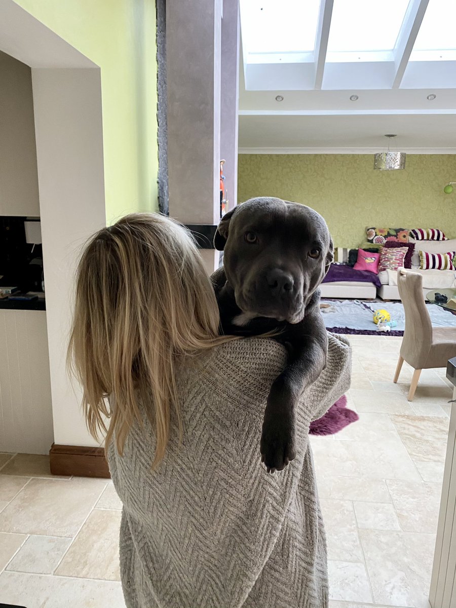 How it started    vs.      How it’s going