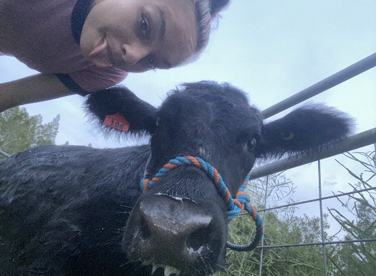 SteinbrennerFfa's tweet photo. Good luck to Acelyn at the Hillsborough County Fair! Acelyn will show her dairy goats and her steer next week and her turkey this week. Acelyn’s turkey will be auctioned this Saturday at 1:00. If you are interested in purchasing Acelyn’s turkey please reach out! https://t.co/AoQEcCqp72