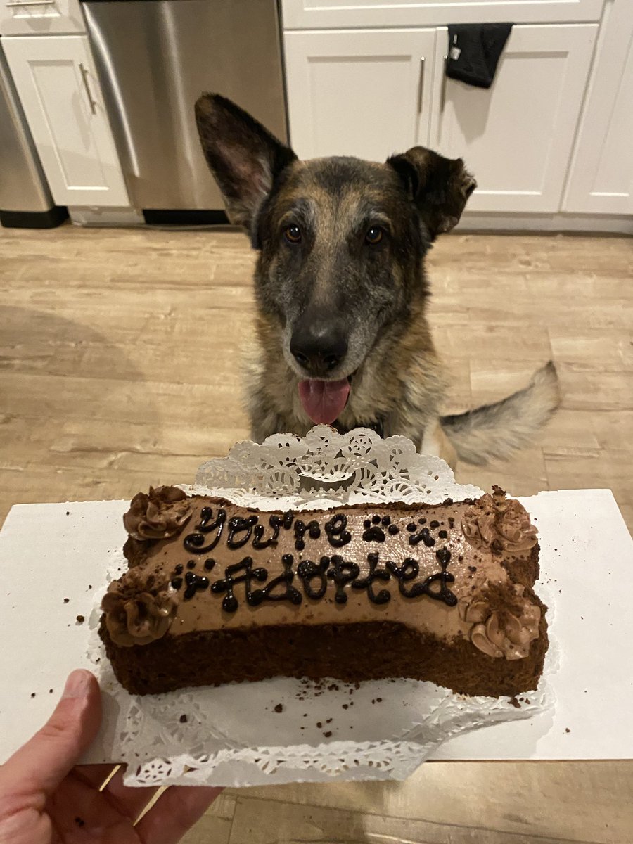 WeRateDogs tweet media