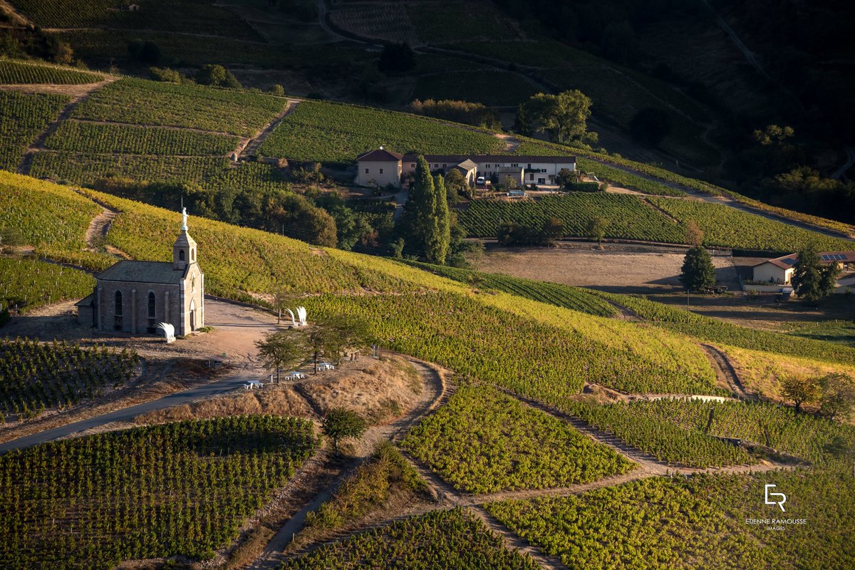 Beaujolais Wines UK tweet media
