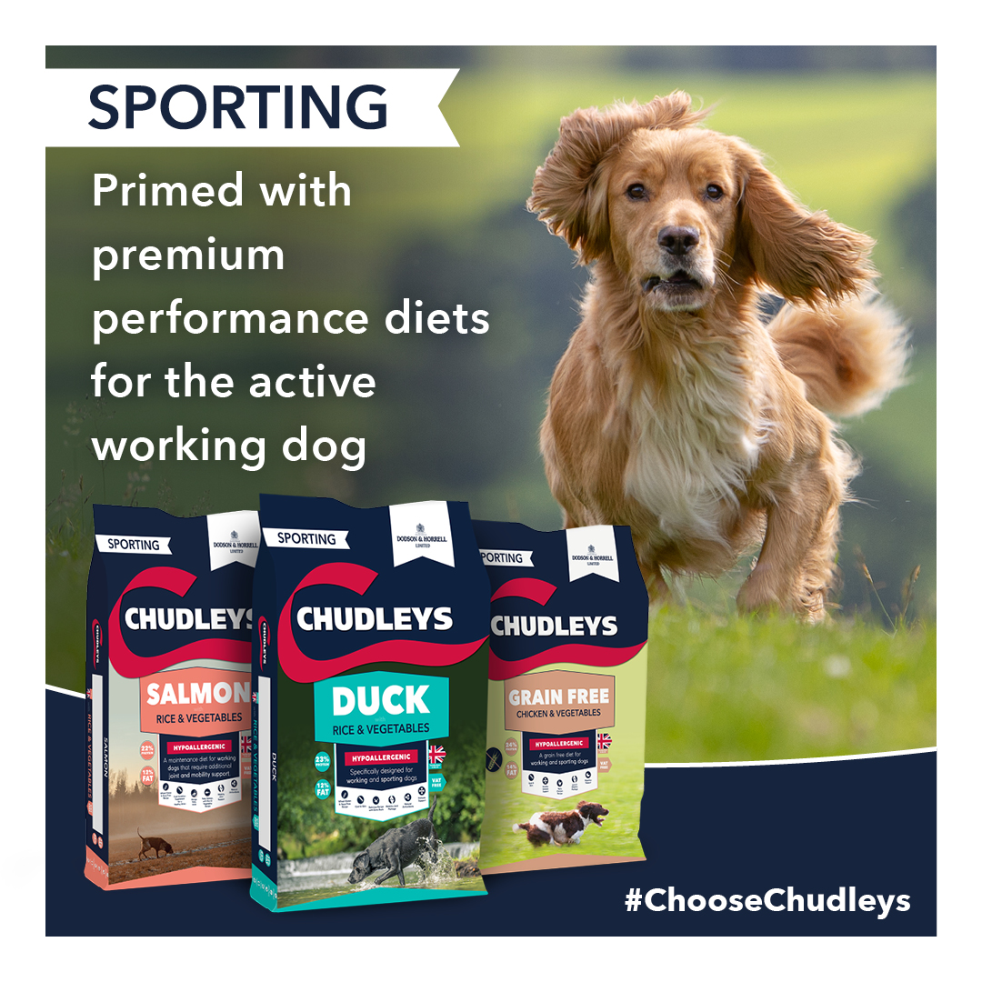 chudleys grain free