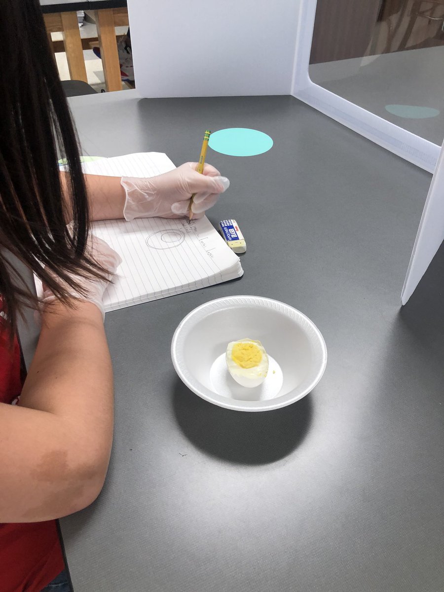 How is the Earth like and egg? 🌍 🥚 #scienceisaverbinalvinisd