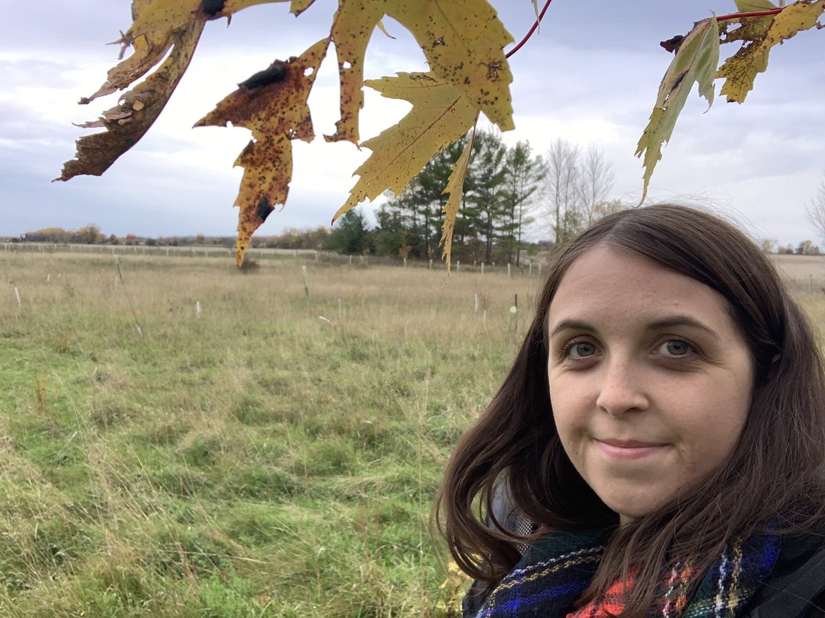 this past weekend I took a detour to the edenvale conservation area to check out the trees we planted last year and they are THRIVING #fallinlovewithnature #TDTreeDays @TDFEF <a href="/LisaStockfish/">Lisa Stockfish</a> @AlexLBerry @BritLanglois_TD