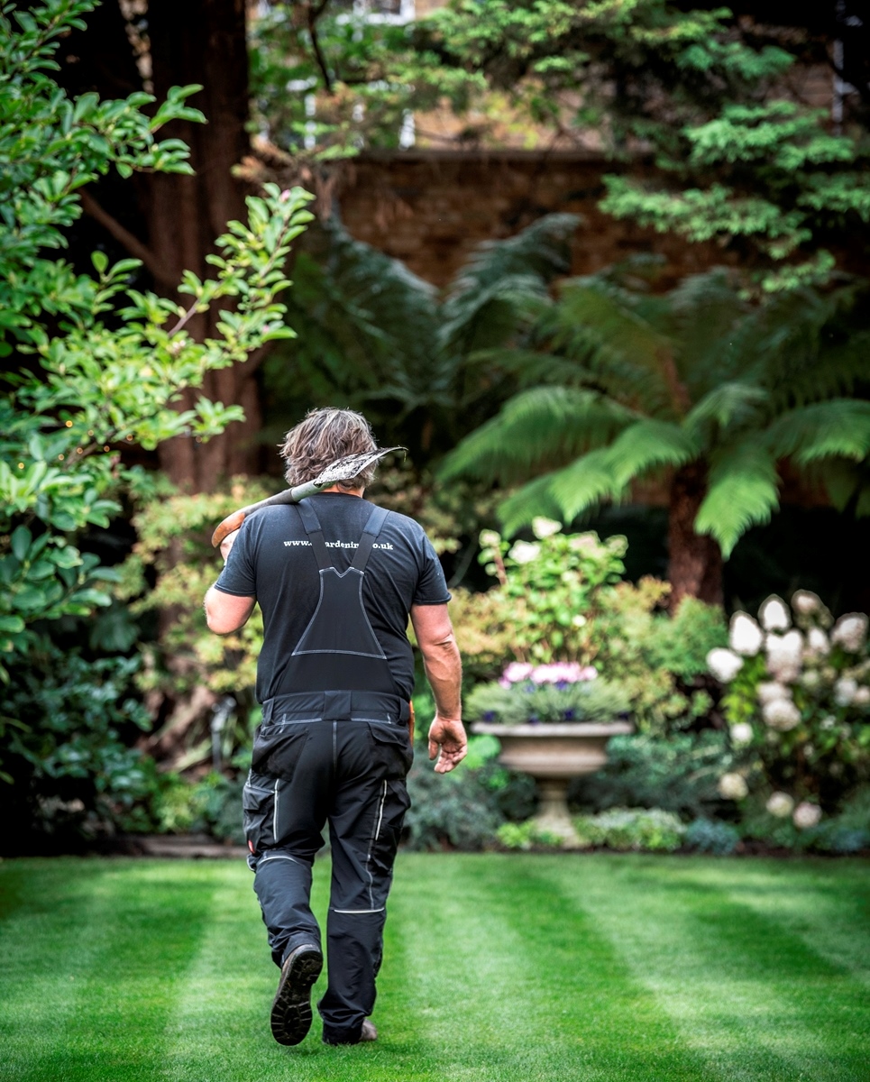 Too busy to pose for the camera, our expert gardener Alex is in charge of all things green at The Goring. This month he’s focused on bulbs to ensure a great spring display. ​Did you know besides Buckingham Palace, The Goring Garden is the biggest privately owned garden in London?