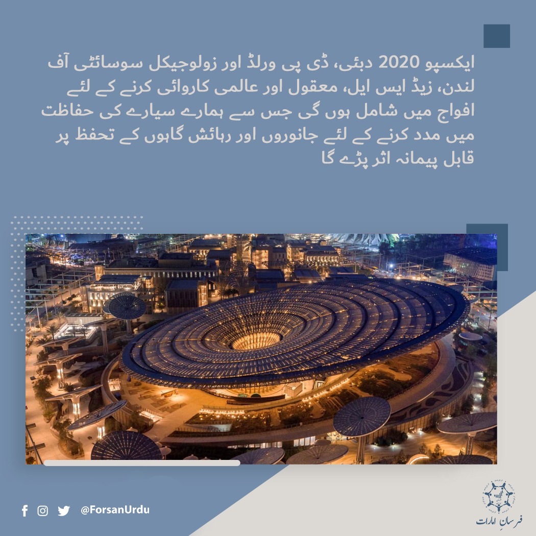 ایکسپو 2020 دبئی، ڈی پی ورلڈ اور زولوجیکل سوسائٹی آف لندن، زیڈ ایس ایل، معقول اور عالمی کاروائی کرنے کے لئے افواج میں شامل ہوں گی۔
@expo2020dubai
#1YearToExpo2020 #Expo2020 #Dubai #UAE https://t.co/ZYo27POmJS
