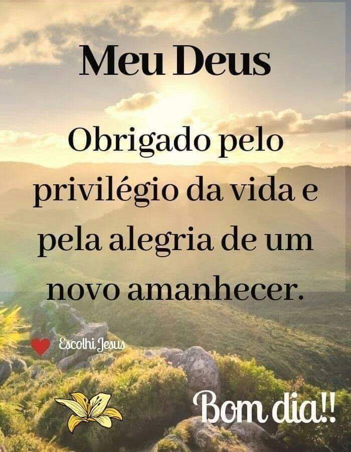 Vanderli Lima 🇧🇷 on Twitter: Vanderli Lima 🇧🇷 on Twitter:
