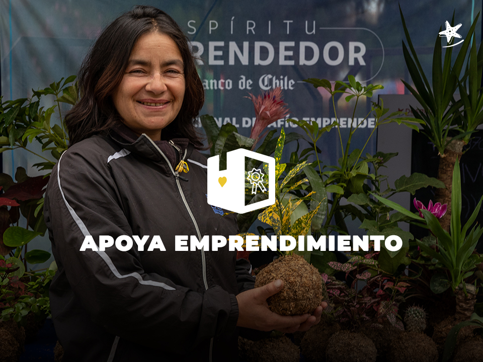 No dejemos que el motor de la economía se apague.
El Kit de Asesorías Comerciales es un curso dictado por profesionales con muchísima experiencia y habilidades en torno al emprendimiento. 
Conoce más sobre este kit y se parte de la solución aquí 👇
amisimeimporta.cl/product/asesor…