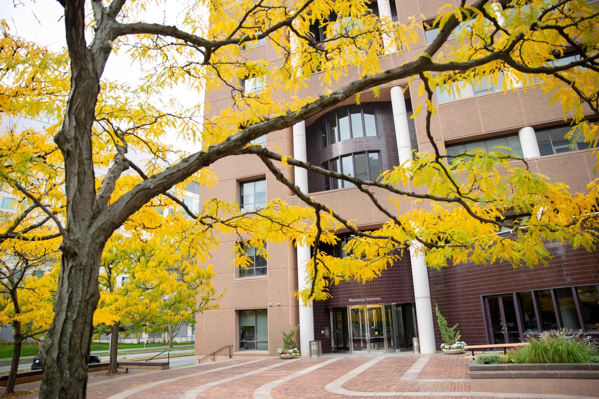 The front of Whitehead Institute seen through bright yellow leaves