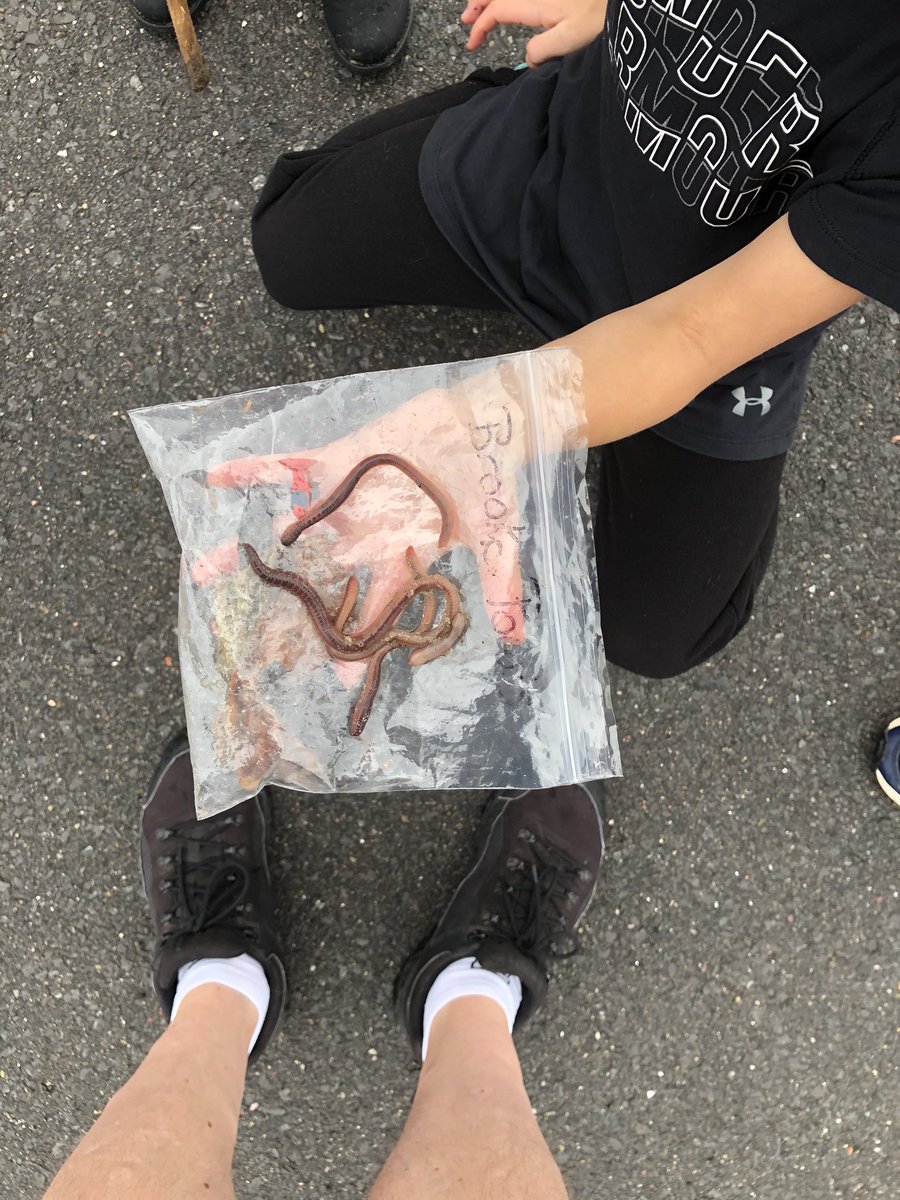 Even though our lesson on earth worms has been long over. Our grade 3’s continue learning out on the yard at recess. What a great bunch