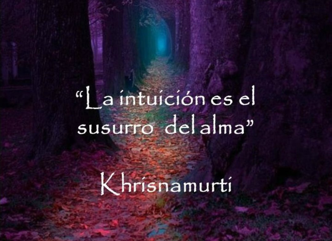 Juan Uruguay Soler (@soleruruguay) on Twitter photo 