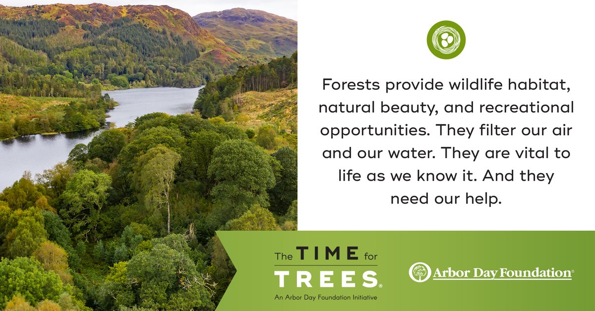 arborday's tweet image. Forests will help us, but they need our help, too.

#TimeForTrees

timefortrees.org