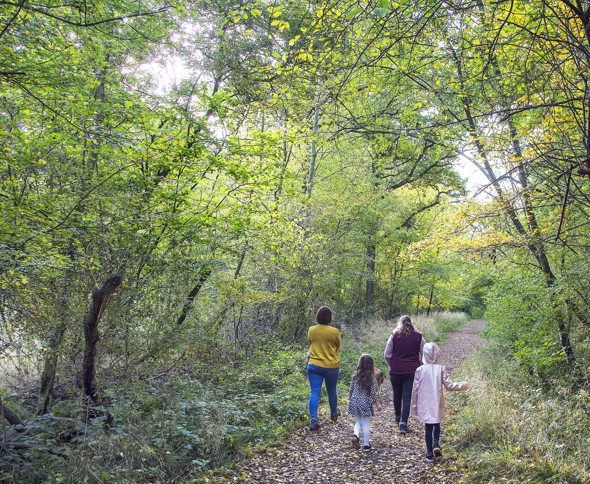 GreySnapper03's tweet photo. Autumn colour in Fermyn Woods today. https://t.co/HVr5qPbyWT