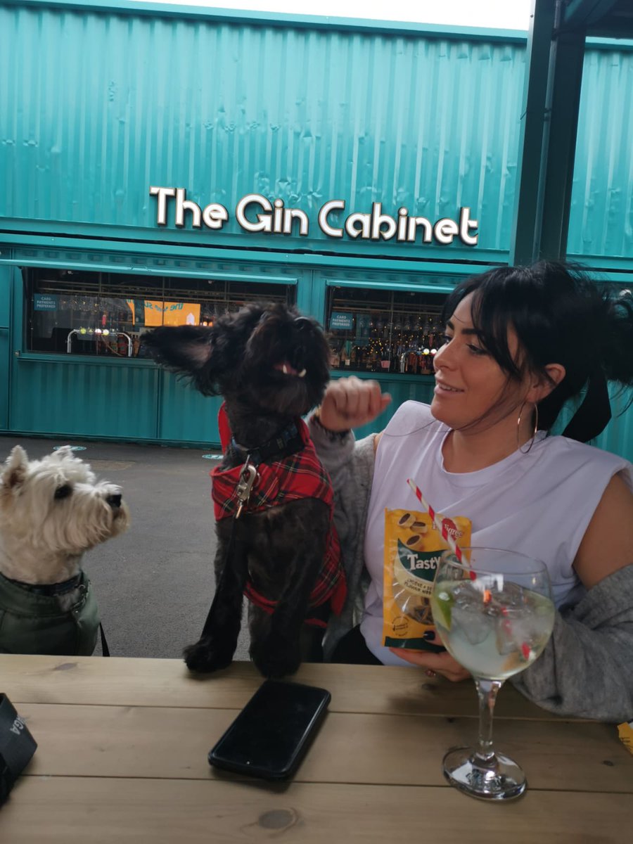 hamishtod2's tweet photo. Today mam took us with her to the #stackseaburn she made sure we were wrapped up warm and brought our favourite treats 🥰👍 #westie #hamish #love #pup #yorkiepoo #tod https://t.co/gyKPDjK2Tq