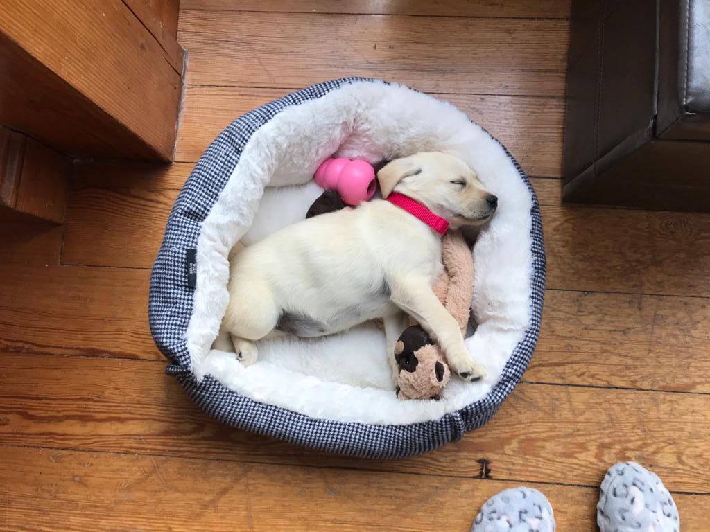 @oisin@mastodon.ie tweet media