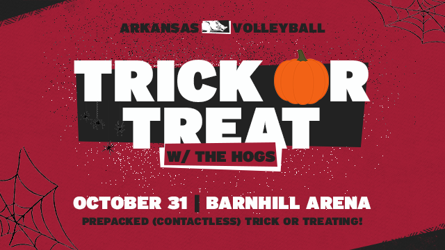 Arkansas Volleyball 🐗 tweet media