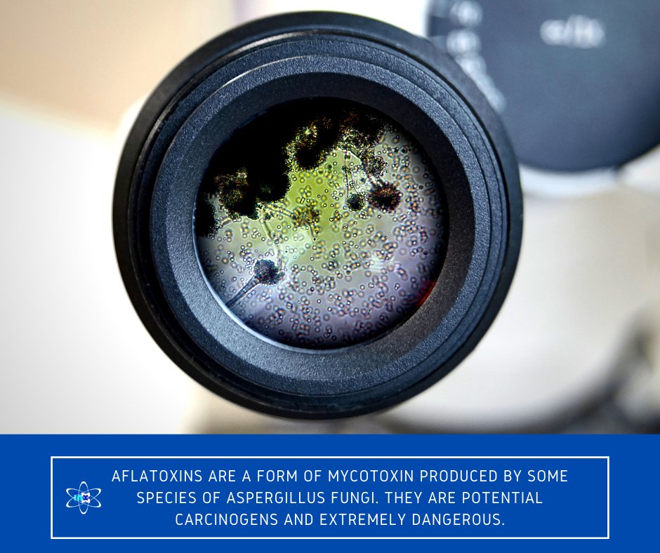 InxLaboratories's tweet photo. Immediate exposure to aflatoxins can be life-threatening and cause severe liver failure. According to a clinical review, some 300 to 400 compounds are now recognized as mycotoxins.
Head over to https://t.co/QJJi39zOu6 to learn more. 
Call 1(800) 786-6254 to get started with us. https://t.co/5L9dK8S1rE