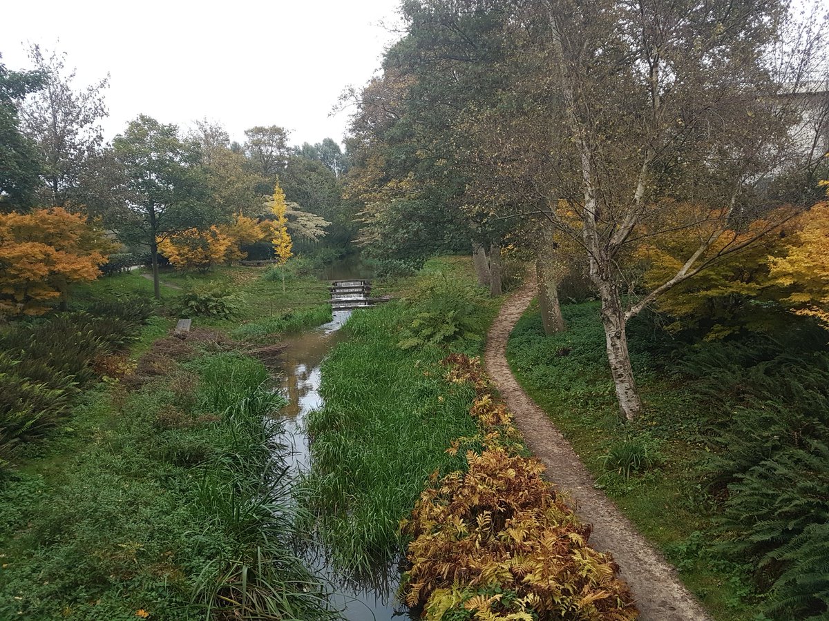 PrinsesChrissie's tweet photo. Avondwandeling in mijn achtertuin 😍
#beeldschoon #mijnpark #wonderbaarlijkmooi #westerpark https://t.co/wI0OWdxL53
