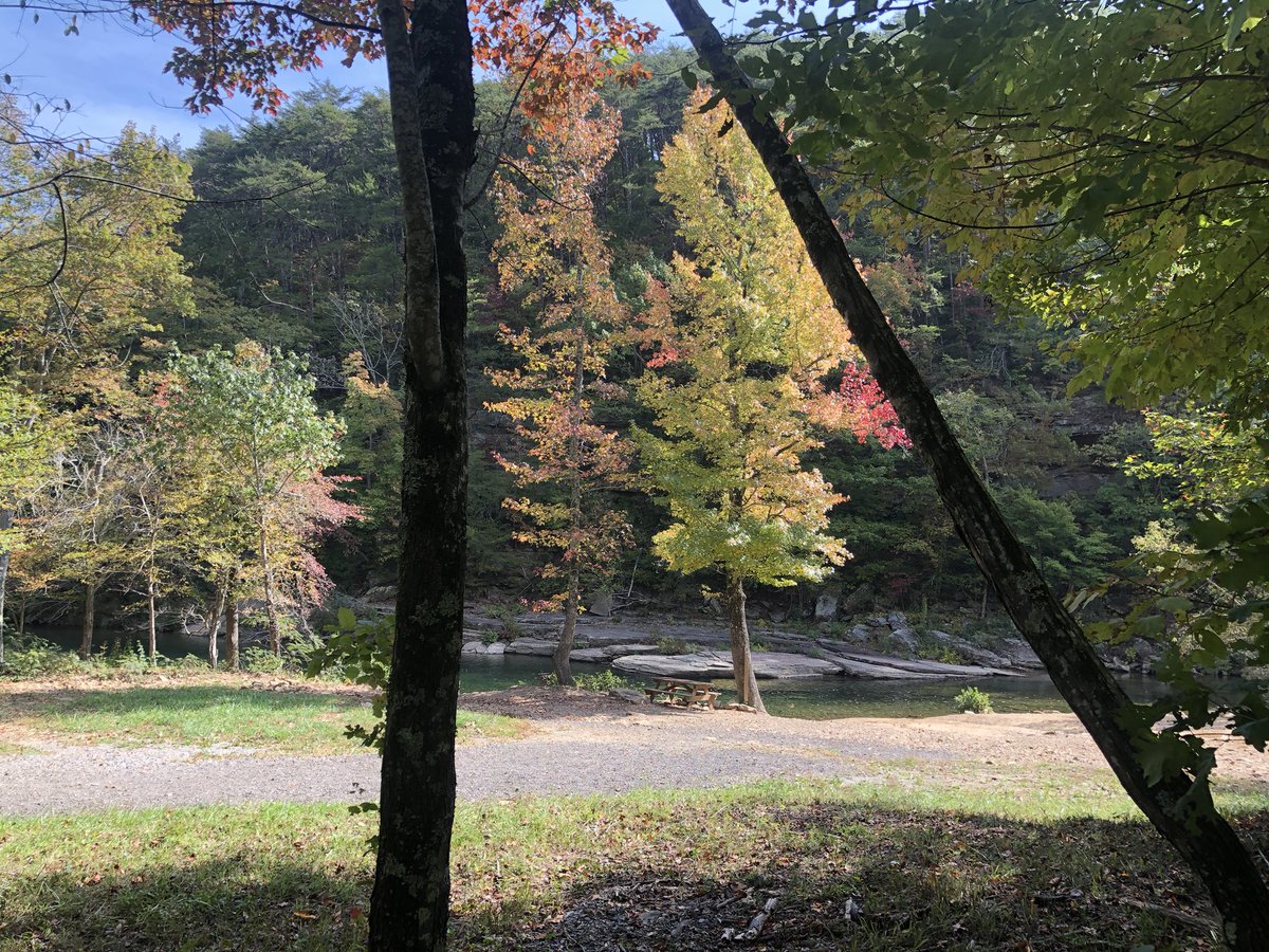 BlameBrianSmith's tweet photo. Picnic lunch for #AddieDaddyDay at Big Soddy Gulf. #FallBreak2020. https://t.co/4HtQWzhx5C
