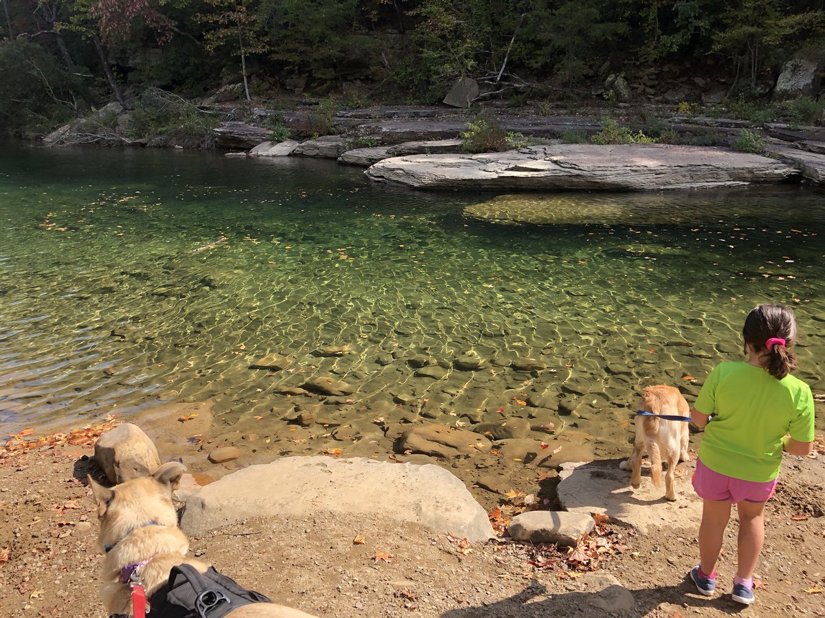 BlameBrianSmith's tweet photo. Picnic lunch for #AddieDaddyDay at Big Soddy Gulf. #FallBreak2020. https://t.co/4HtQWzhx5C