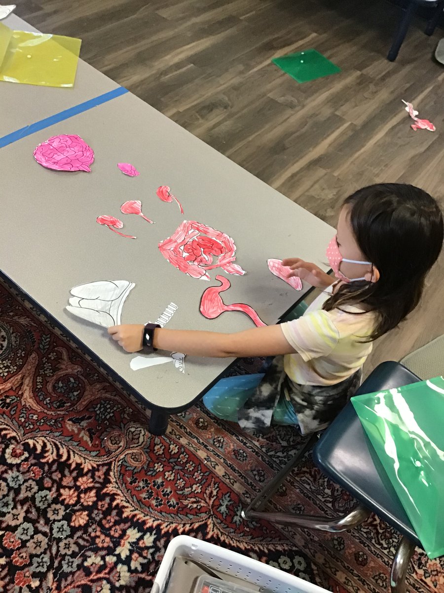 Our 2nd graders have been scientist and authors this past week! They have been working hard on their narrative pieces in ELA and learning about the digestive system in Science #TheLernerSchool #KidScientist #StudentsWriting