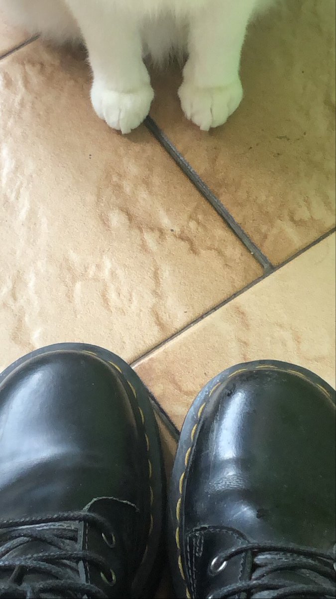 EX0RCISME's tweet image. Look at us 🥺