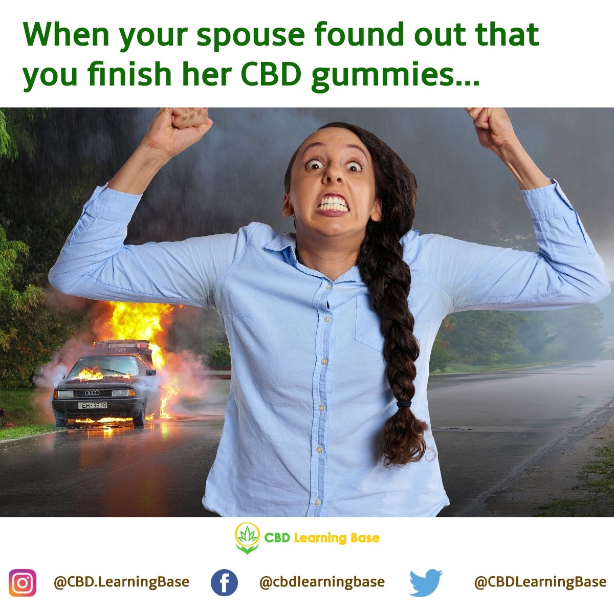 CBDLearningBase's tweet image. You better prepare for world war, bro! 😱 
#mememonday #cbdlearningbase #cbd #cbdlife