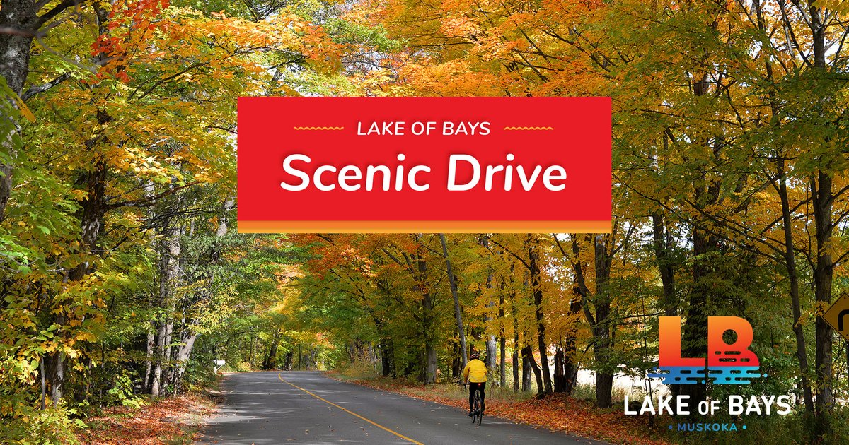 LakeofBaysTwp's tweet photo. Sometimes the journey can be as enjoyable as the destination! Travel the #ScenicDrive to experience the beauty of nature on this winding route that offers spectacular views of @LakeofBaysTwp.
https://t.co/TKDogIRwml
#lakeofbays #muskoka #explorersedge #goldenencore https://t.co/qKdRZH4ydN