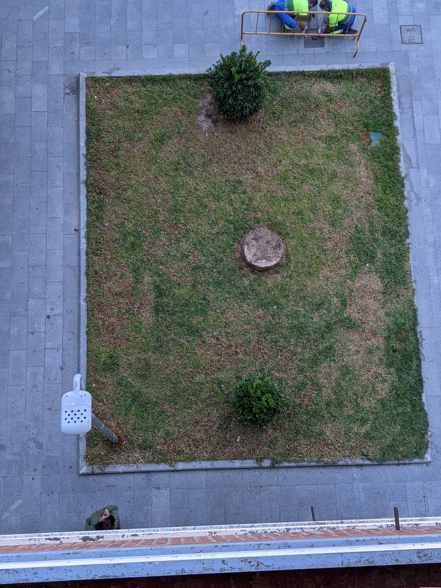 Quiero transmitir mi más sincera felicitación al equipo de jardineros del <a href="/AytoJaen/">Ayuntamiento de Jaén</a> por su gran trabajo de mantenimiento de las zonas ajardinadas de la ciudad, entre ellas las existentes en la Avenida de Andalucía a partir de la Glorieta de Blas Infante <a href="/CondondeJaen/">Condón De Jaén </a> <a href="/JaenSquare/">JaénSquare ©</a>