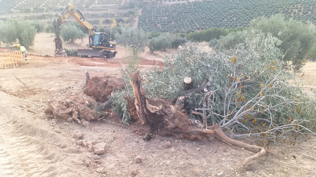 cerrada_a's tweet photo. ¡SOS! ¿Nadie pondrá coto a estos desmanes? Más obras ilegales de Red Eléctrica Española (REE), en Deifontes. Han empezado a hacer la cimentación de las Torres sin permiso del dueño y sin informe de impacto ambiental en una zona de aves salvajes.
#REEyElGobiernoSeLoPasanPorElForro https://t.co/fwUftF8m0l