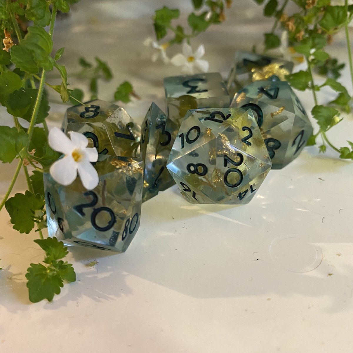 Sam Kahn tweet media