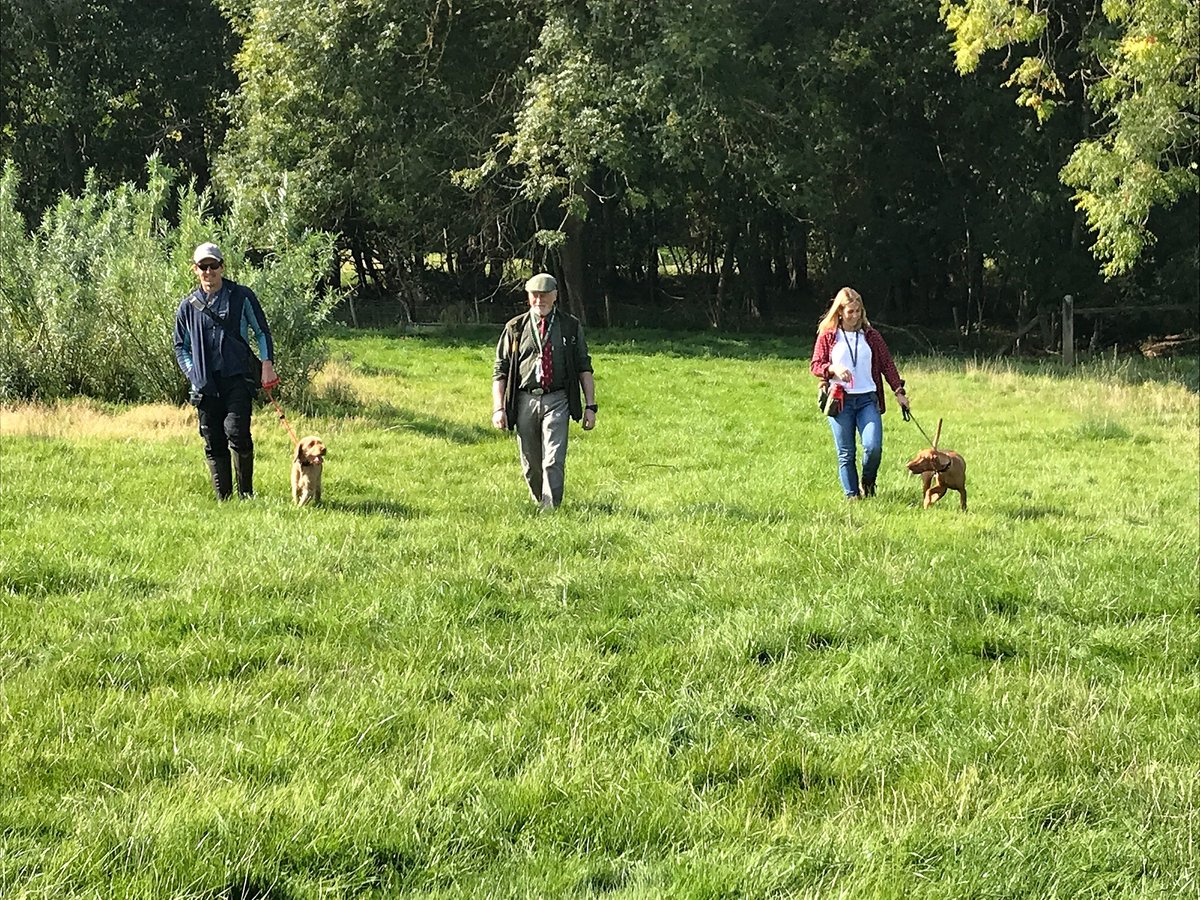 Last month we held a novice gundog training day @BCA_Maidenhead which raised  funds for @RABISouthEast  who help farmers and farm workers across the country.  Special thanks to #Westberksgundogclub and all their trainers #socialdistancing #covidguidance #countryside @BASCNews