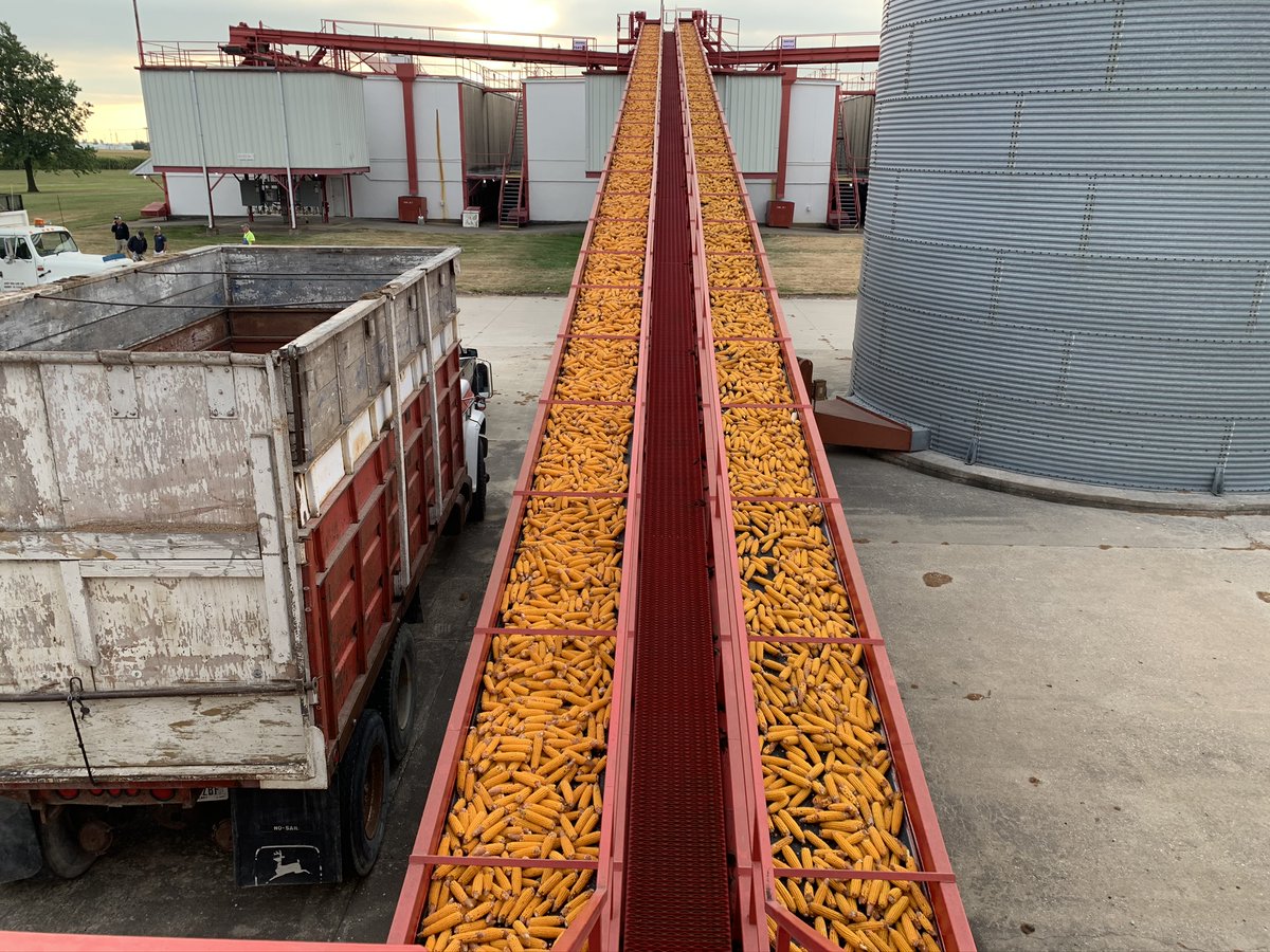 WeAreBecks's tweet image. Congrats to our Mt. Pleasant team for an outstanding performance during this year’s seed corn harvest. The team unloaded 1,618 loads of seed corn. Meaning they filled and shelled out their dryers more than 8 times.🌽

#ThisIsTeamwork #FarmersAtHeart