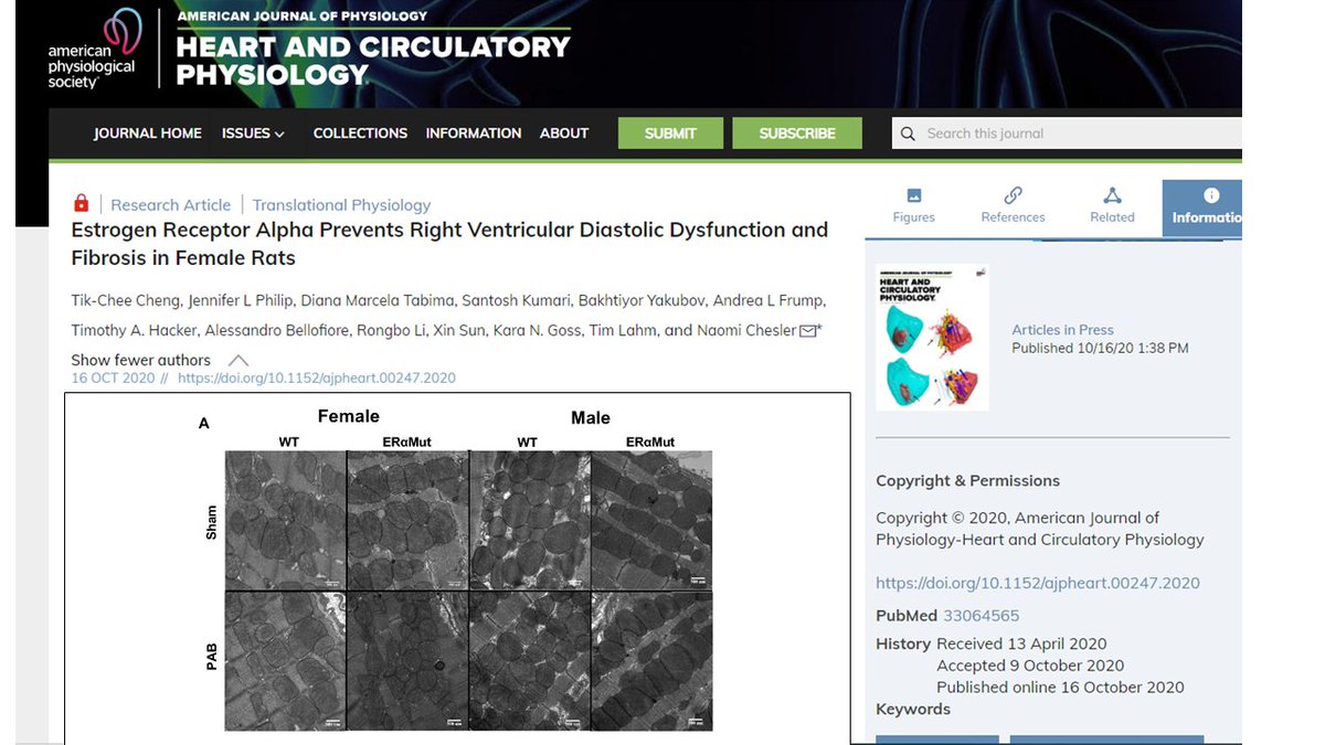 #ArticlesInPress Estrogen Receptor Alpha Prevents Right Ventricular Diastolic Dysfunction and Fibrosis in Female Rats
ow.ly/wipe50BVL3y 
@UCIEngineering @CheslerLab

#estrogenreceptor #RightVentricle #pulmonaryarterialhypertension #PAH #fibrosis