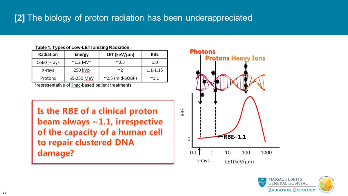 Another emerging opportunity for protons is its use in homologous recombination deficient tumors for which there is accumulating in vitro and in vivo evidence.This means the RBE would be >> 1.1 in these cancers.This has been understudied. #RadRes2020