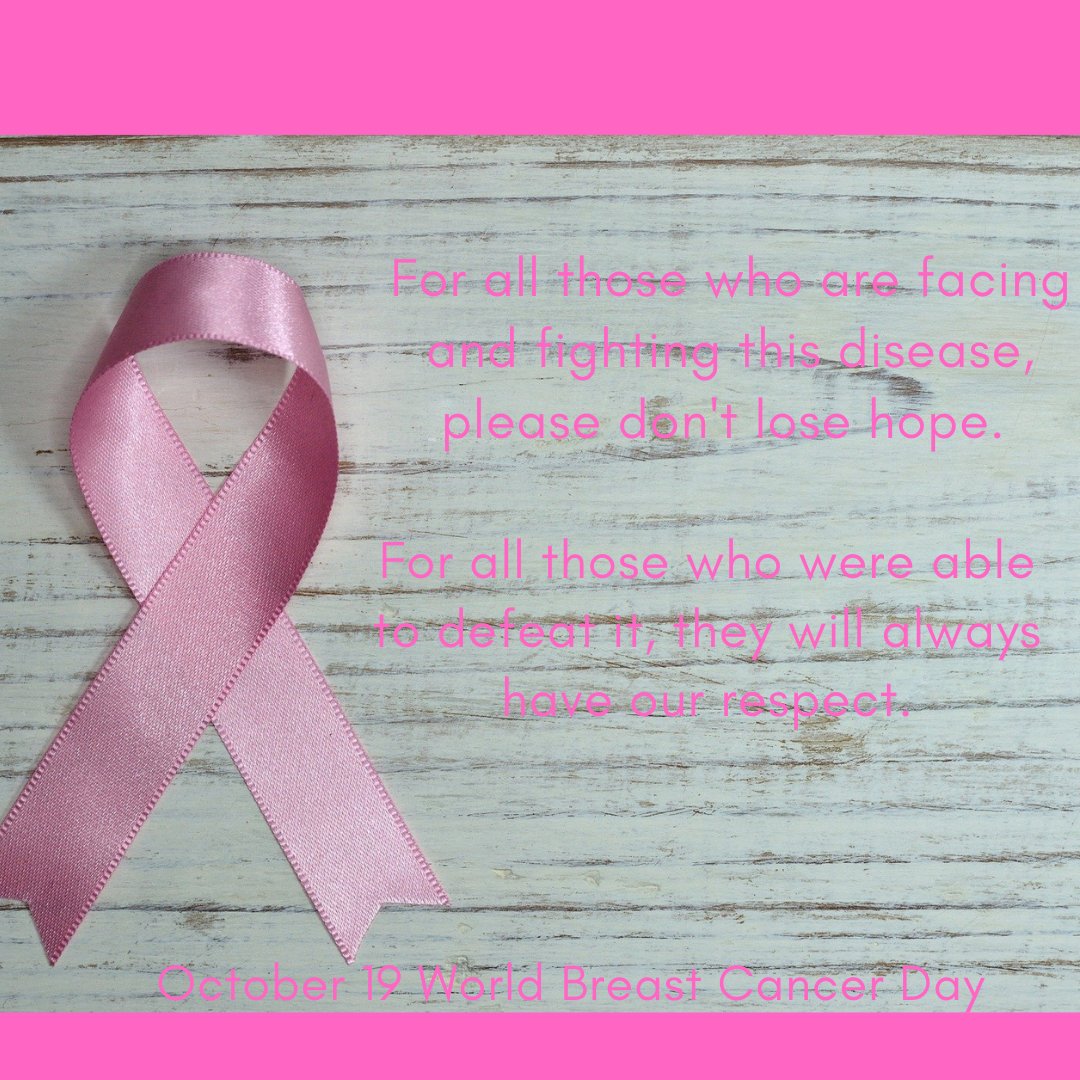 Amazon Paradise tweet media