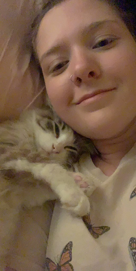 TaylorBranyan's tweet photo. hi twitter. I am thrilled to announce that I now share a home with a small cat named Louie. I saw this little guy outside and he politely explained to me that I am his mother and now I am legally obligated to care for him https://t.co/UtBKqeSNdQ