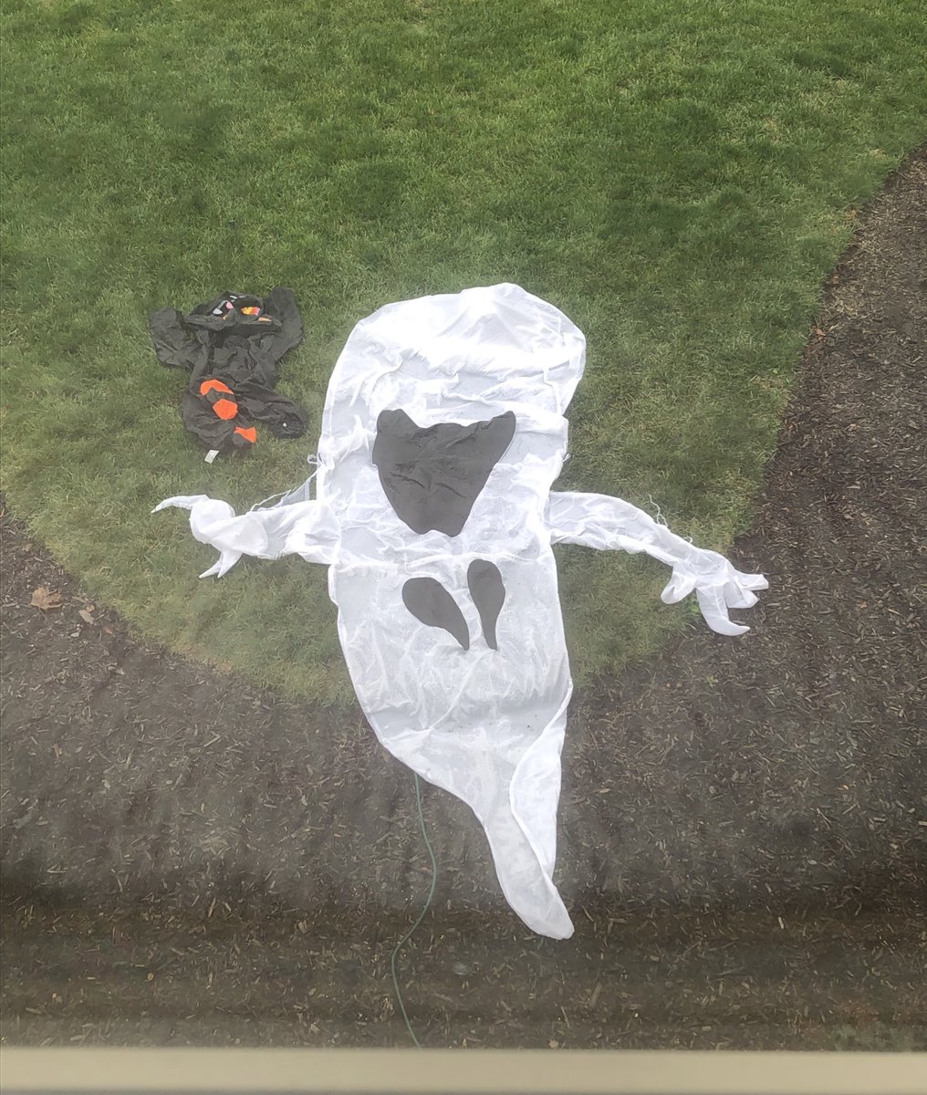 Yard inflatable = today’s mood