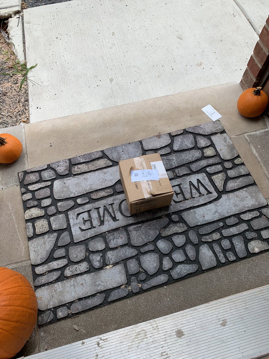 levelupdub's tweet image. Ellie left a little surprise for the person who’s been stealing our packages 🥰