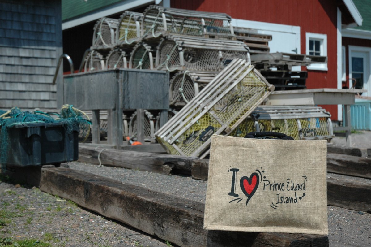 InfoPEI's tweet image. Statement by Premier King on Small Business Week  #peigovnewsrelease princeedwardisland.ca/en/news/statem…  #SmallBusinessWeek2020   @Innovation_PEI