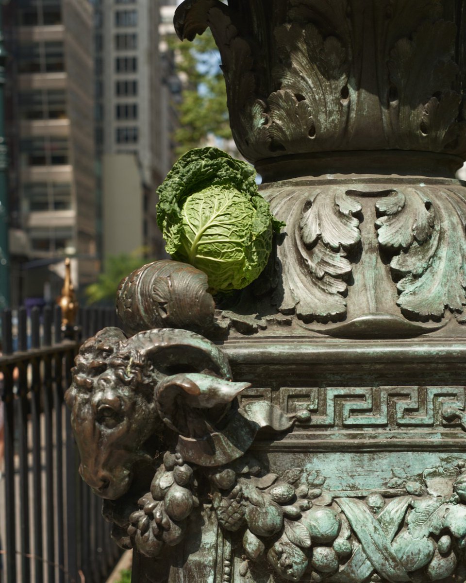 Green cabbage at Bryant Park.

#streetfare