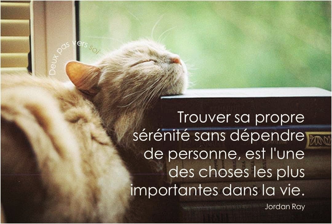CmQualite's tweet photo. ▶️ Sérénité
Ne jamais dépendre de quelqu'un pour quoi que ce soit, y compris pour sa sérénité !!! 🤔
#developpementpersonnel #citationpositive #citation #penseepositive #penseedujour #vivreautrement #vivremieux #preconisation #serenite #jordanray https://t.co/xwKCEVMCv8
