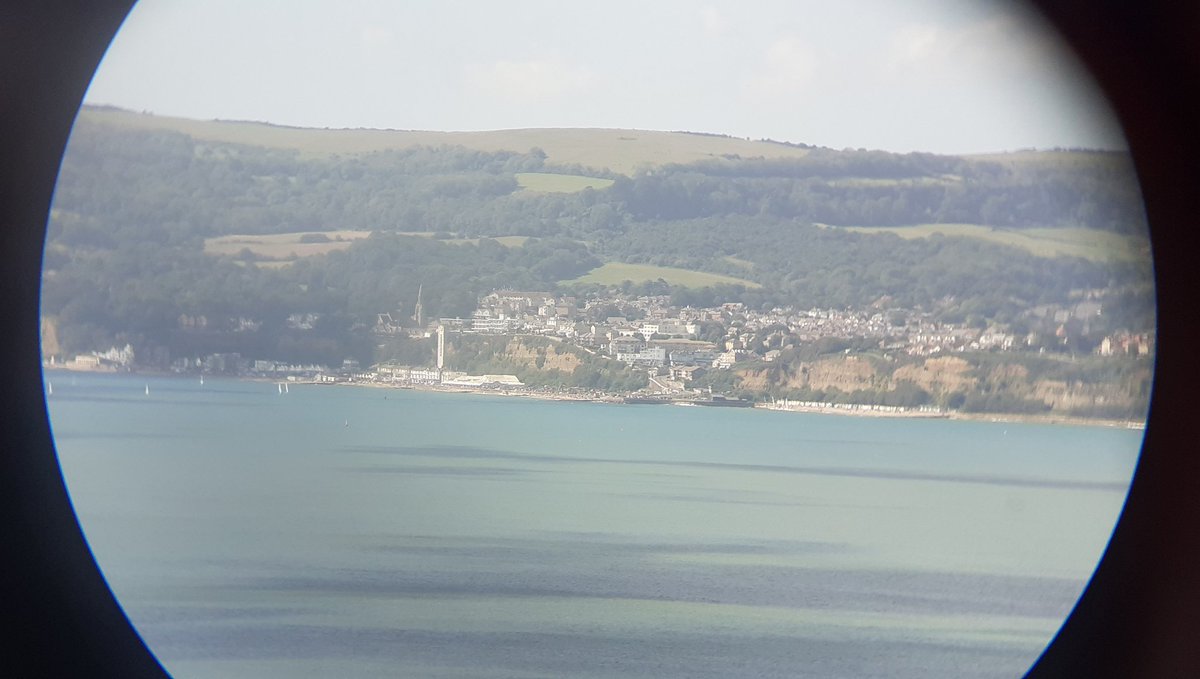 #lifethroughalens 
Zoom in on the detail
#shanklin
#nARTure
#naturephotography #nature #IOW #isleofwight #culverdown