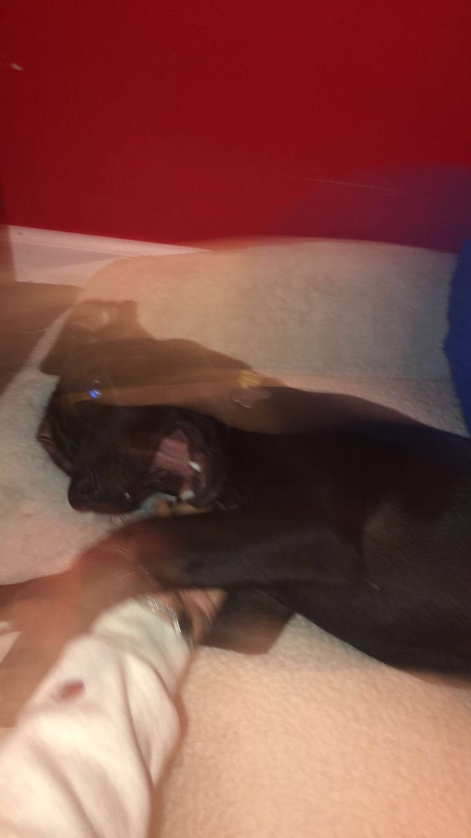 emmaaaa_34's tweet photo. It’s my baby’s first birthday🥺❤️ https://t.co/SHB6xj0BKh